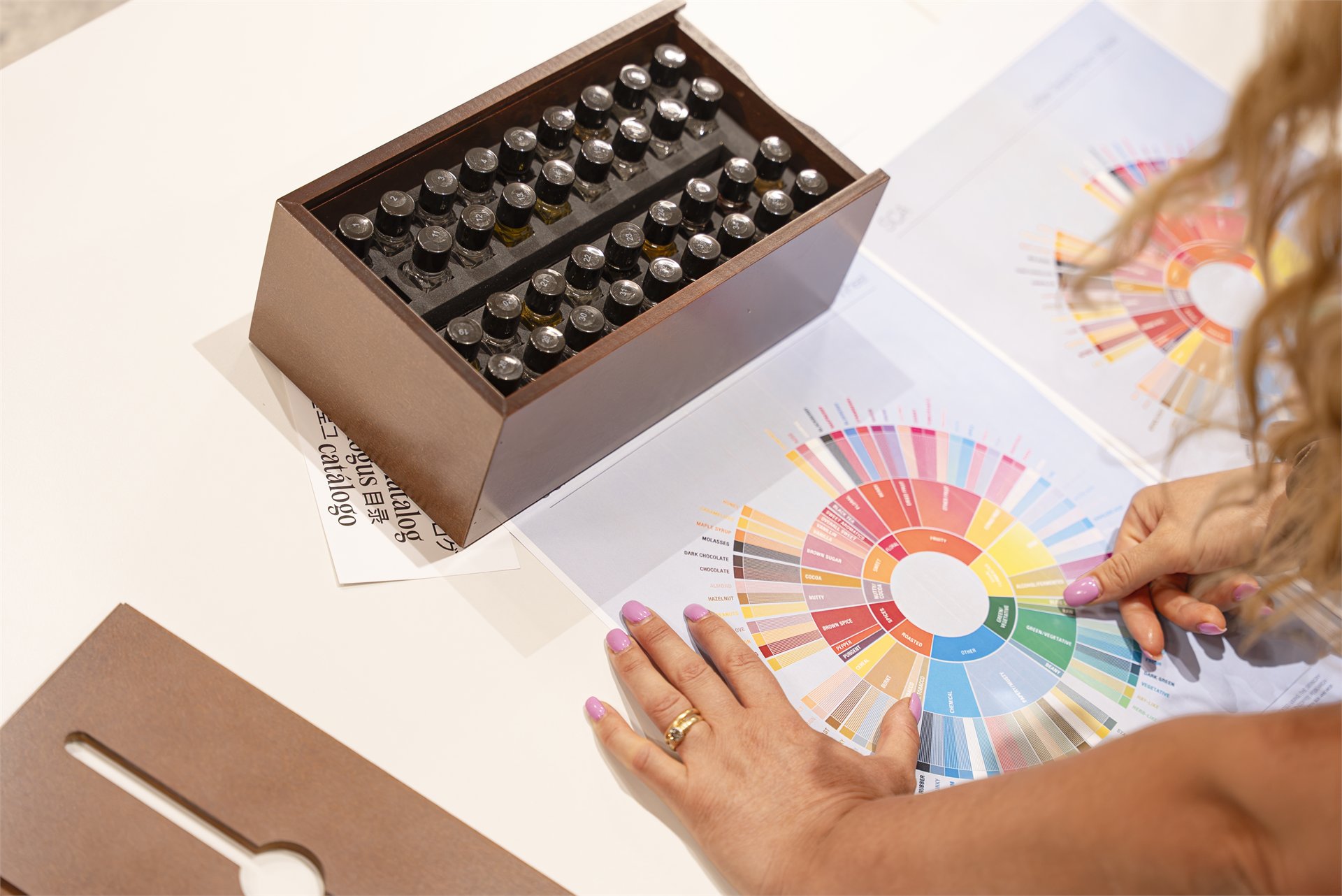 Aroma kit and coffee flavor wheel